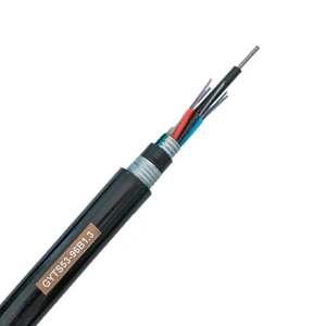 GYTA 53